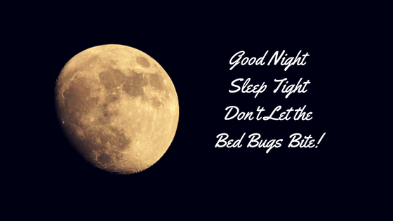 Good Night, Sleep Tight, Don't Let the Bed Bugs Bite!